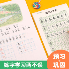 每日30字小学生减压同步字帖点阵生字1-6年级人教版田字格练习本