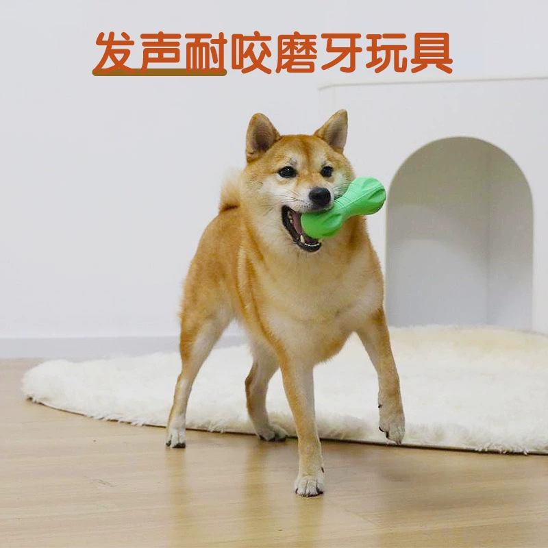 Tennis toy for training, makes sounds, pet