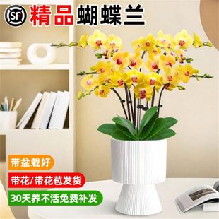 �����m���Ԏ����������m�������҃ȿ͏d�̨�Gֲ��ȫ���ļ����B��