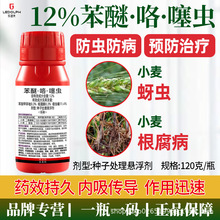 12%苯醚·咯·噻虫嗪小麦专用拌种剂种子处理悬浮剂防病防虫种衣