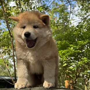 ���N�S���������A��@Ȯ��Ȯ�sɽ�������C�S�����￴���oԺ���S��