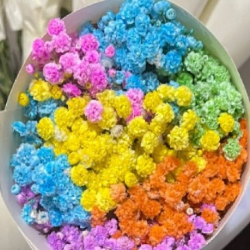 玫瑰花鲜花云南昆明基地批直发百合向日葵红豆家用鲜切水养插|undefined