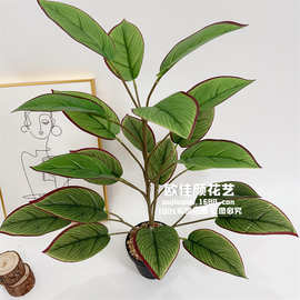 北欧风仿真植物落地盆景带盆花卉摆件桌摆室内客厅装饰假绿植盆栽