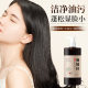 Bobv Platycladus Leaf Shampoo Oil Control Fluffy Cleansing Quick Foaming Non-Greasy Pure Herbal Conditioner Shampoo