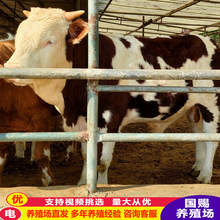 СSţ BֳTţ sTţ ɽ|Bţ