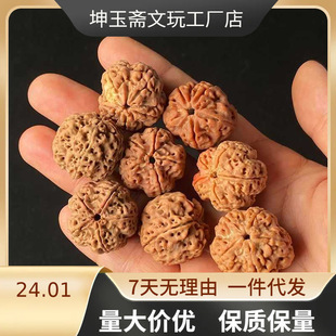 �Ჴ����������������ԭ��ɢ���ִ���y����5�갴��Q��Ů