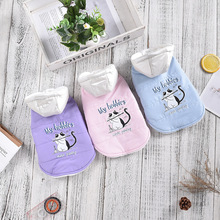 羳LñﶬɐۿͨС؈СȮ·