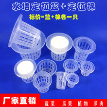 ˮ��ֲ�ﻨ�ܶ�ֲ�@�A�μ����߲˹̸����o�������O��ˮ������