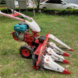 自走式汽油割晒机图片前置拖拉机带大宽幅割倒机便捷手推收获机