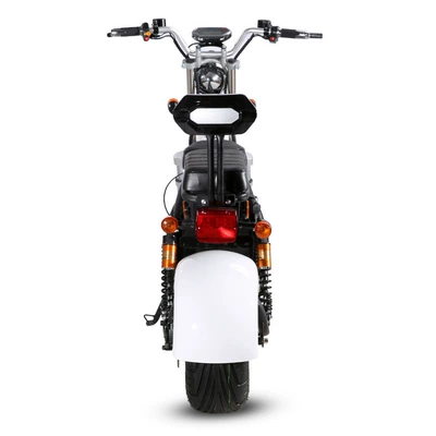Elektrikli motosikletlər Motorcycle, Electric Adult