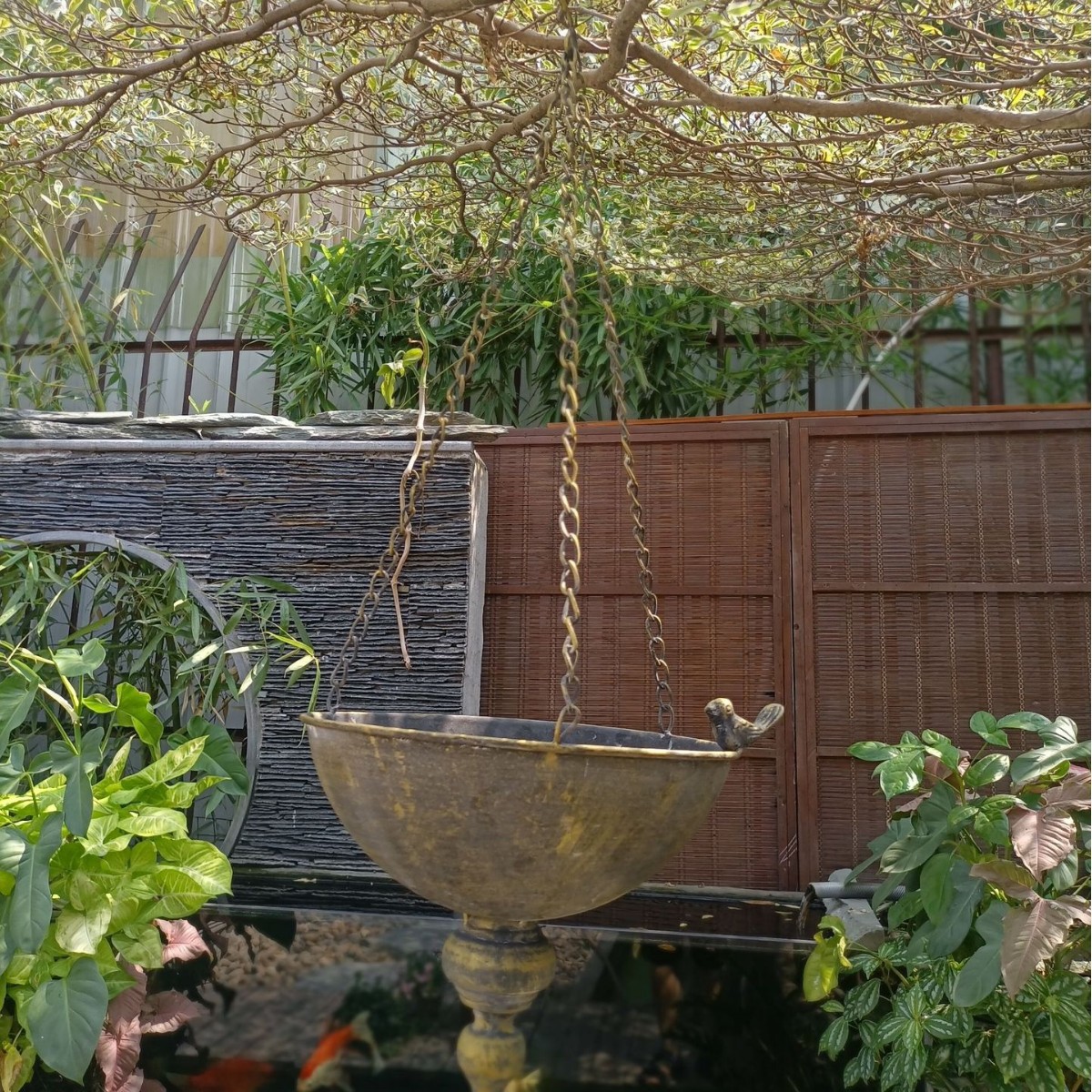 골드 디스트레스드