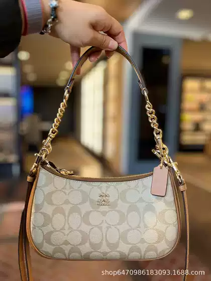 2024 Outlet Teri Glacier White Underarm Bag European and American Crossbody Printed Chain Mahjong Shoulder Bag Retro Trend