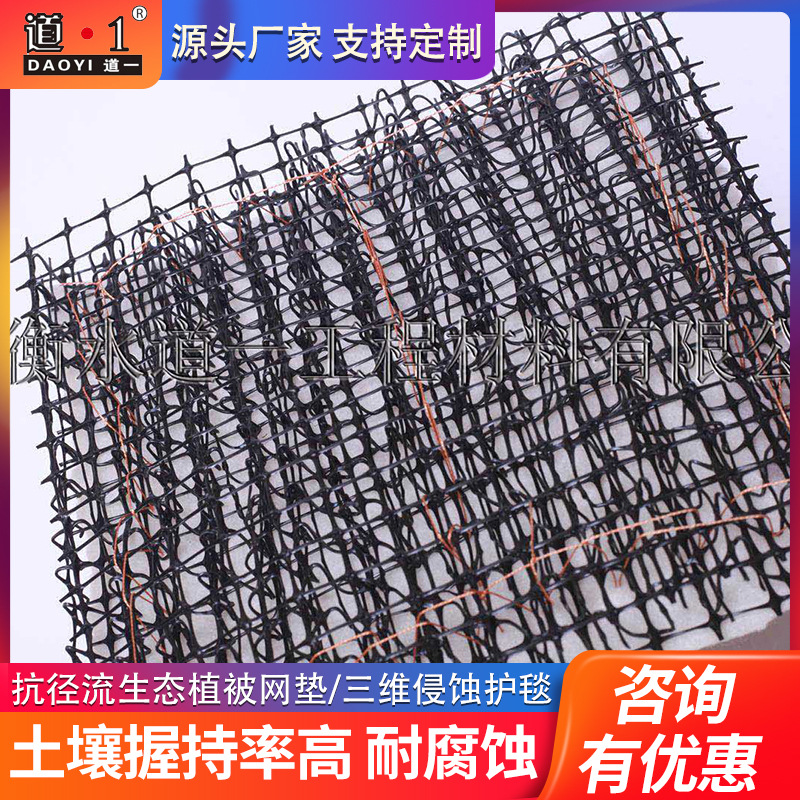 批发 生态植被网垫沙漠固土园林绿化用塑料土工网垫三维侵蚀护毯