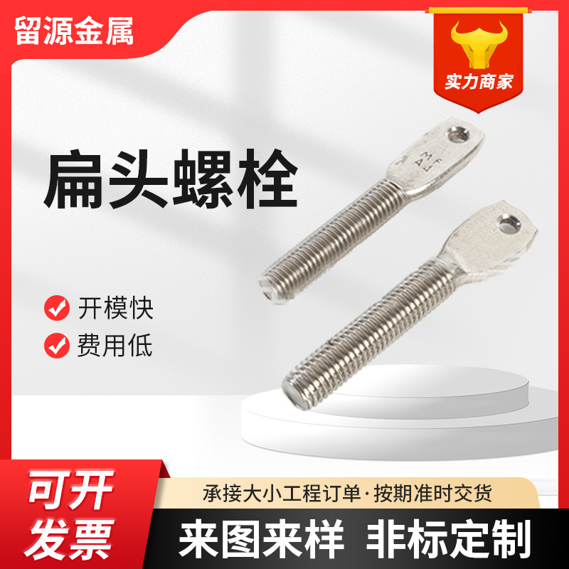 304 316不锈钢扁头螺杆 扁头带孔螺栓穿孔活接螺丝鱼眼螺钉非标