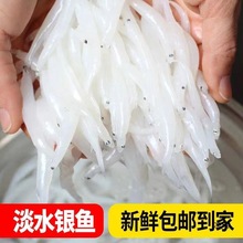 �K���y�~���r��ˮС�y�~�r��������]�����oʳˮ�a��̫�������y�~