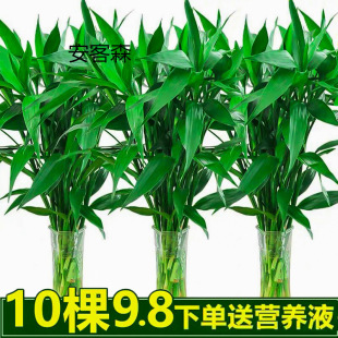 ���F��ˮ���҃�ֲ��ˮ�B���ܾGֲ�����D�\�񎧸��͏d�r��ֱ���~��