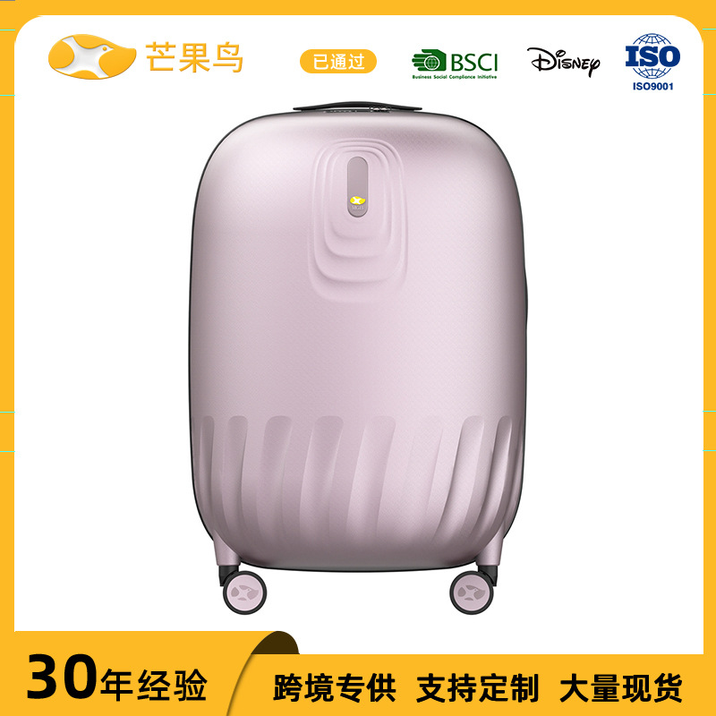 Vali kéo 20 inch họa tiết sọc bánh xe đa năng khóa kéo — Màu xám