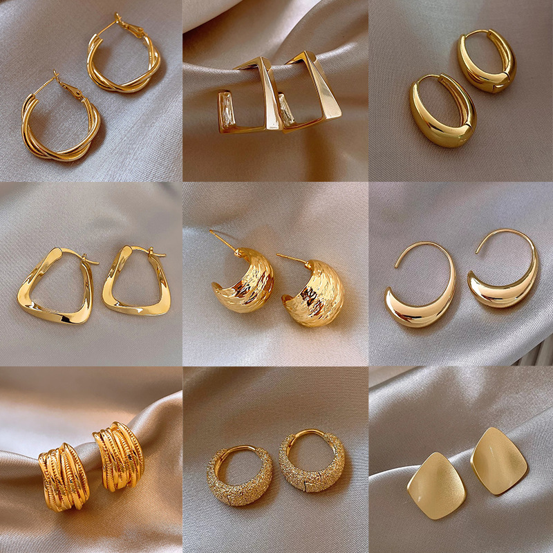 925 Silver Needle European and American Exaggerated Geometric Earrings Accessible Luxury High-End Earrings Metal Style Earrings for Women Wholesale