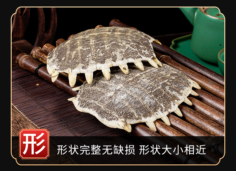 Bie Jia (Trionyx sinensis Carapace) — Vinegar-Processed Soft-Shell Turtle Shell, Dried TCM Herb quality and texture