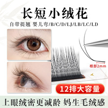 aHoneya LC LB常规长短小绒花睫毛仿真野生绒毛感种植睫毛不散根