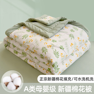 gm6Uj/OnzNRHr0wVH1HhyQWiEUh0ayR+W3TU