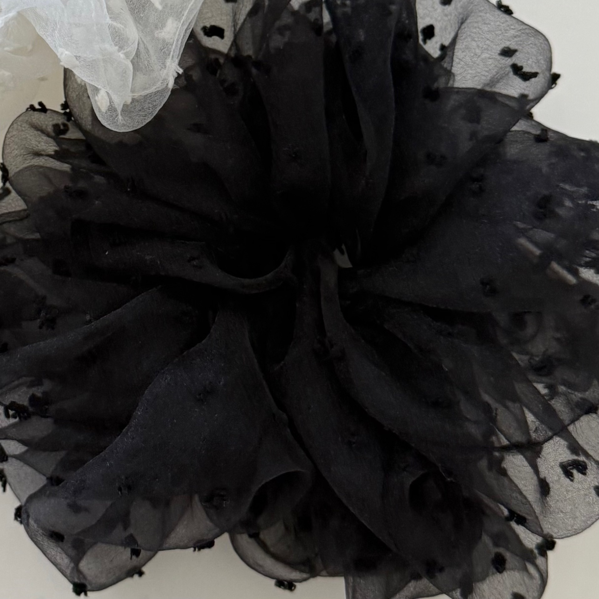 微信图片_20250425224139