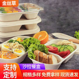 可降解餐盒纸浆打包盒甘蔗渣便当盒轻食沙拉外卖快餐盒批发食品级