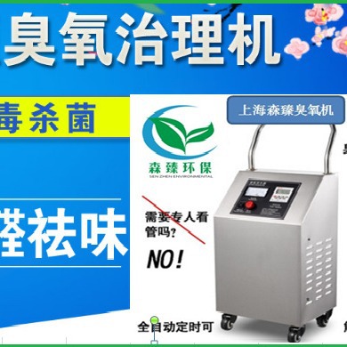 食品臭氧消毒机 食品车间臭氧消毒机 空气杀菌消毒除味臭氧机v