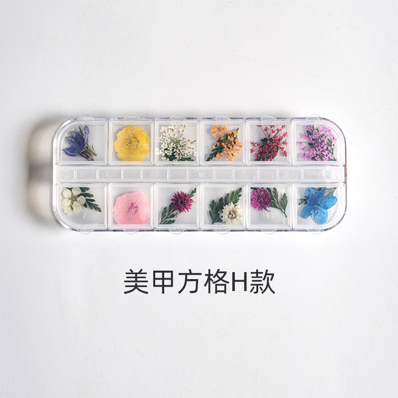 매니큐어 그리드 H 23 개