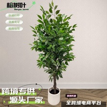 ���Ʒ����Ř��p�ݺ��s���ԼҾӾƵ�����辰�}�Q���쾰�b�����