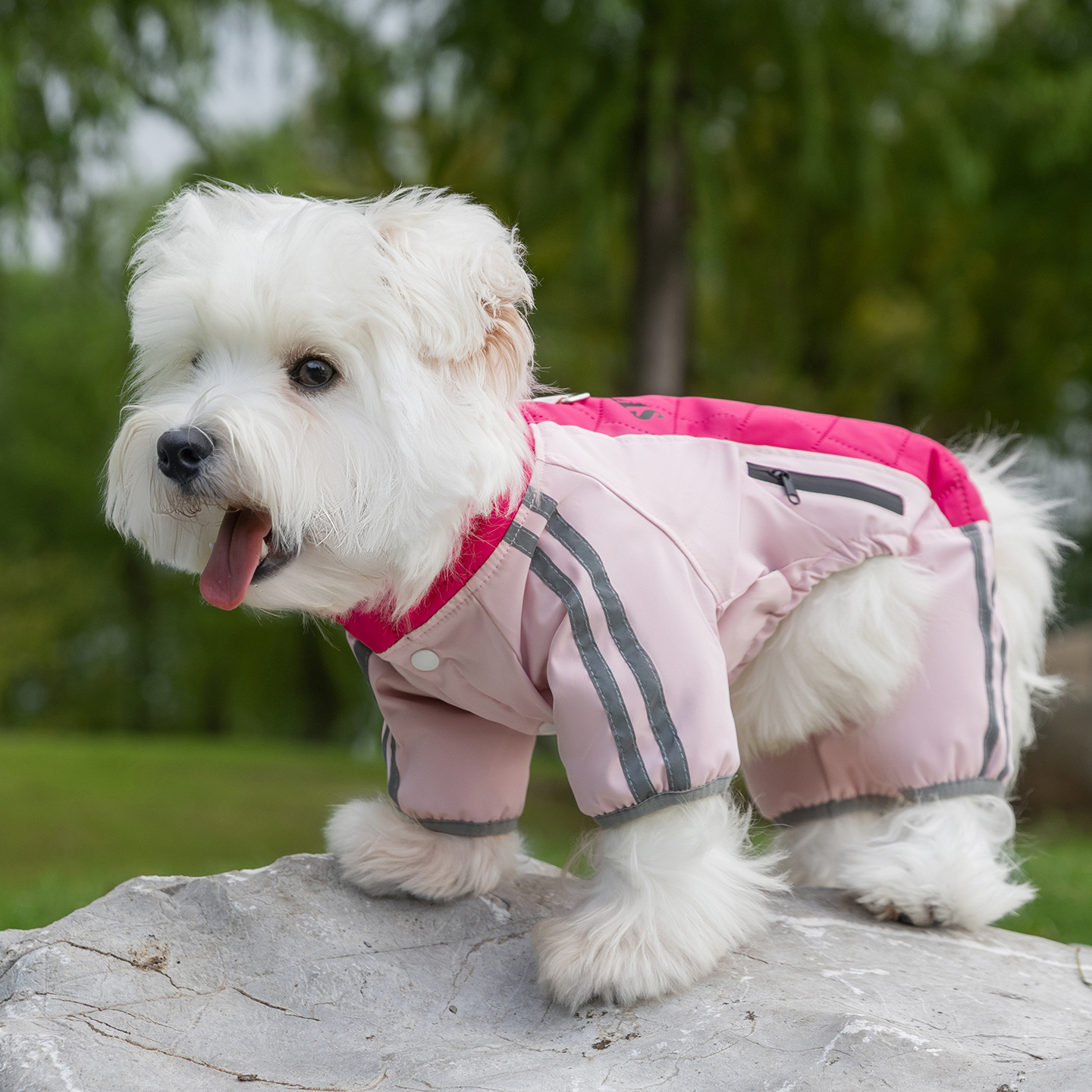 Otoño y invierno nuevo Aurora Shadow cuatro patas estampado de algodón de tracción perros pequeños y medianos perros gatos que osos ropa de mascotas