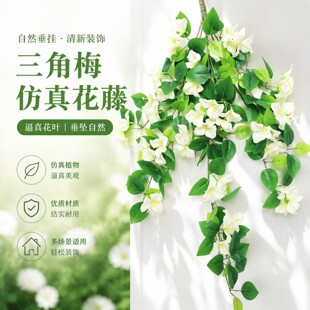 ��������÷���٠����ړ��ڒ젝���bGֲ�ٻ��ٗl���ڒ컨����
