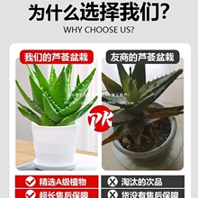 �J�C�����҃ȳ���ȩ�����՚�Gֲ���k���������ļ����B����������