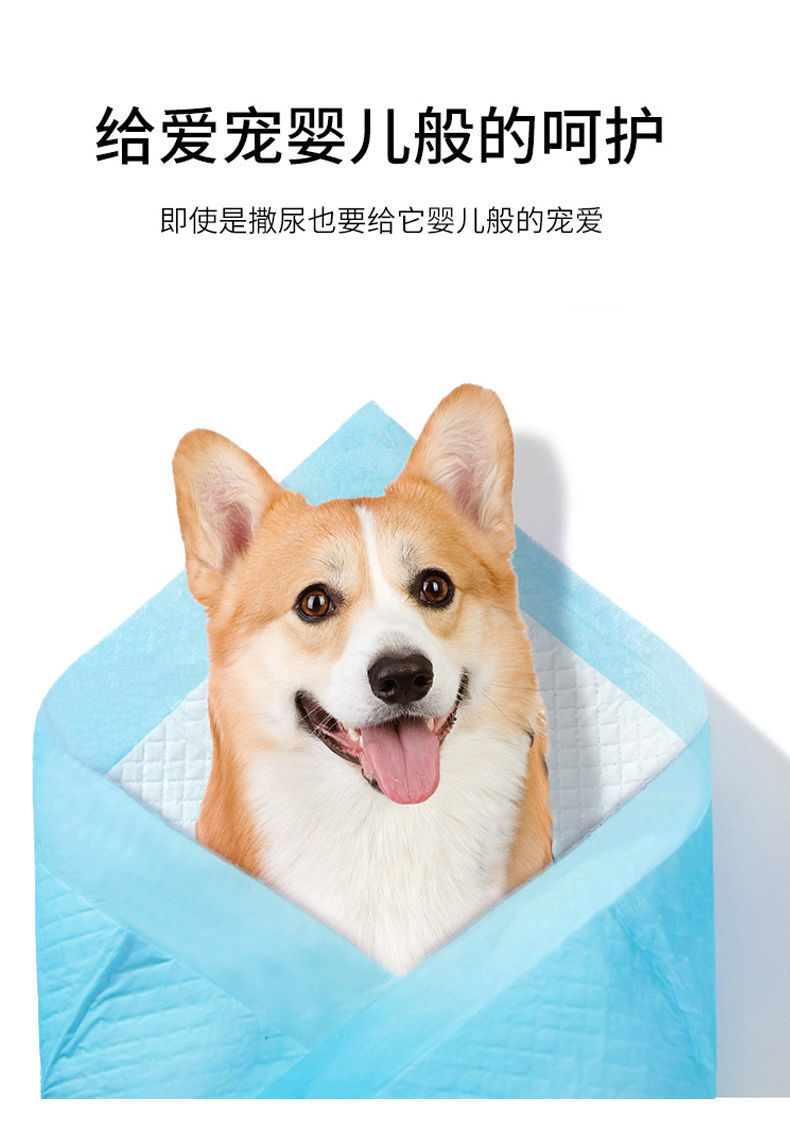 54b6a15a-cb68-4dc3-9a99-5ddc424e8158.jpe