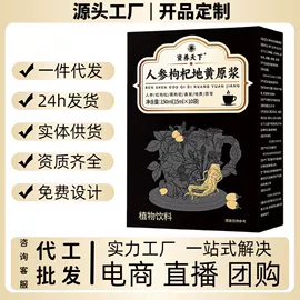 其他软饮料;速溶咖啡;其他冲调饮品