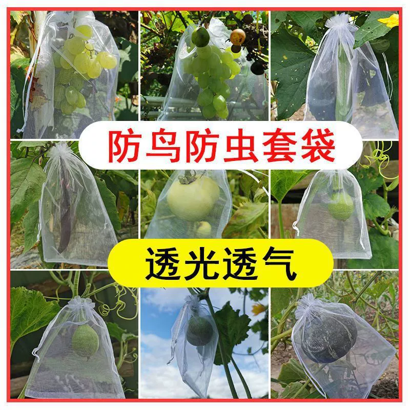 [Бесплатная доставка] Упаковка для фруктового винограда, белый марлевый мешок, защищенный от насекомых и птиц, дышащий и защищенный от фруктовых мух мешок для фруктовых деревьев сабаль