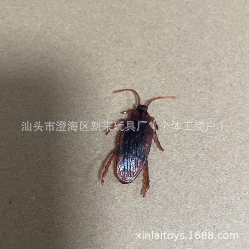 다크 브라운 바퀴벌레 (7x2)