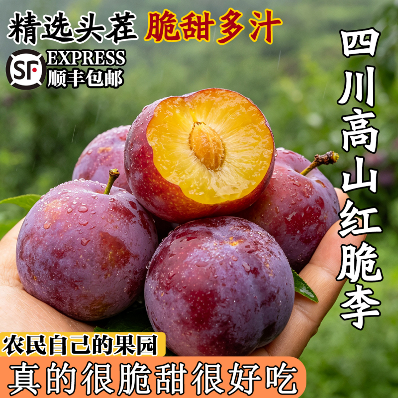 Authentic Sichuan boneless plums, crisp red plums, fresh seasonal fruit, crisp and sweet plums freshly picked 4.5kg large fruit, whole box Authentic Sichuan boneless plums, crisp red plums, fresh seasonal fruit, crisp and sweet plums freshly picked 4.5kg large fruit, whole box