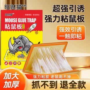 �Ӻ������Nճ�z�����ճ��岶��������ճ���҃Ȍ��ßo�����I���