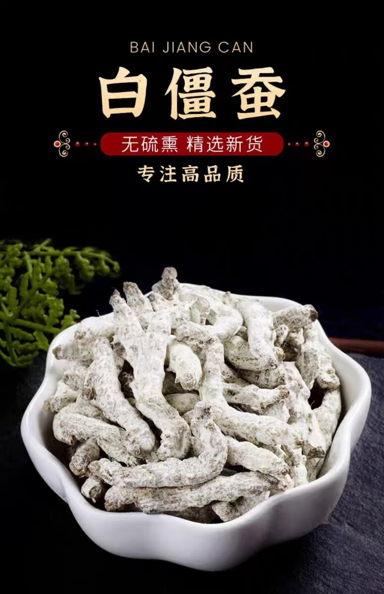 White Silkworm Jiang Can Powder 500g Dried Bombyx Batryticatus Traditional Chinese Herb overview