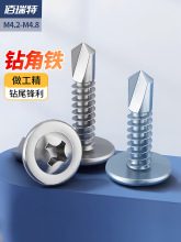 410/���P䓱��^�FƤ�β��β��ᔴ�A�^���|����߸ߏ���ʮ���Թ�