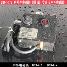 DSW4-Z(Y)늴iDSW1-2-3-4-5-Y-Z220Vֱ110V220V