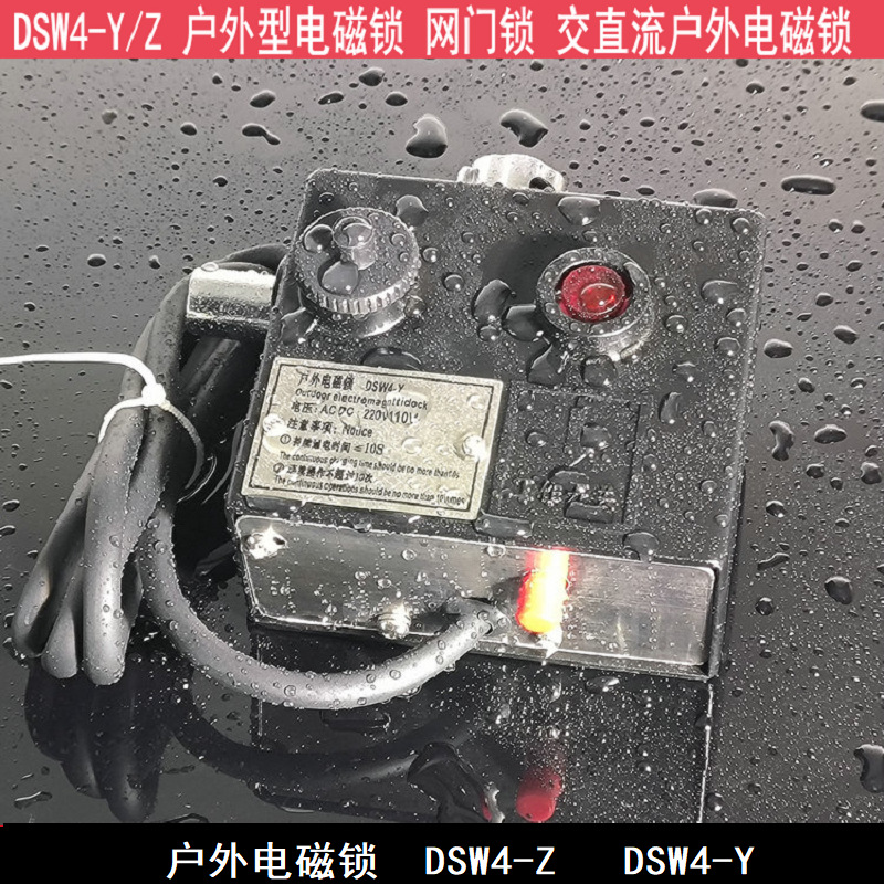 DSW4-Z(Y)户外电磁锁DSW1-2-3-4-5-Y-Z交流220V直流110V220V