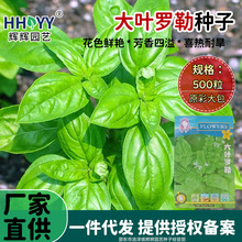 ~_շNӾŌ𲻓QNNͥԺ̨ʳֲNӴȫ