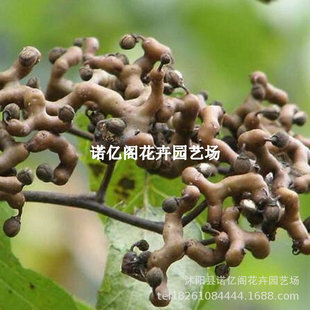 �՗������f�۹��uצ�B���h��������Ϸ��������Ե��ԷNֲ����Y��