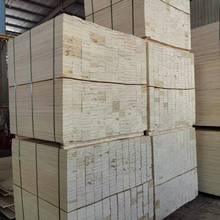 LVB�Y����ľ�ΰ�ӷe�İ��bľ���z�ϰ��һ�γ���