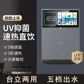 速热饮水机家用壁挂式管线机净水器伴侣杀菌即热式餐边柜烧水机