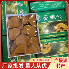 源头厂家直供500g盒装桑黄 吉林长白山脉桑黄延边州东北特产桑黄