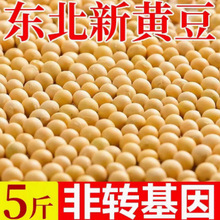 美餐五谷杂粮豆浆1新豆东北美厨黄大豆斤高蛋白