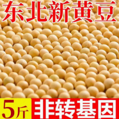 ビューティーミール 全粒粉豆乳 1 新豆 東北ビューティーキッチン 黄大豆斤 高たんぱく質